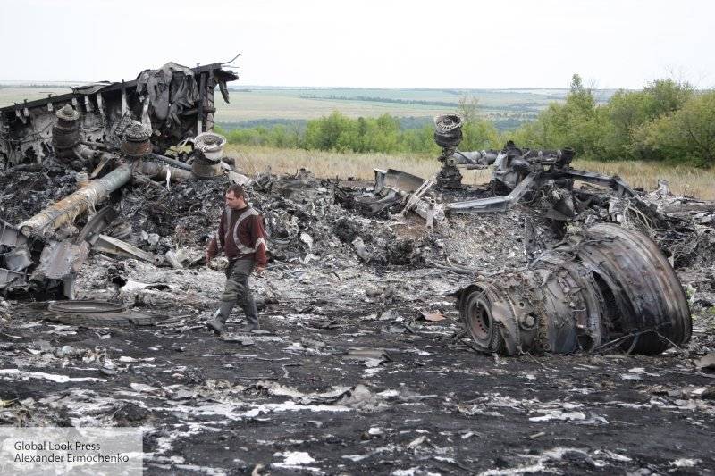 Йозеф Реш - Нидерланды не стали принимать результаты частного расследования по MH17 - politros.com - Германия - Голландия