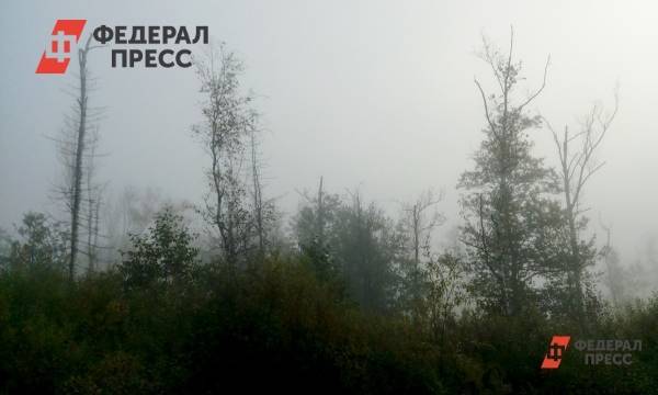 Дмитрий Медведев - Дмитрий Кобылкин - Елен Майоров - Дмитрий Медведев поручил главе Минприроды прибыть в Красноярский край для борьбы с лесными пожарами | Москва | ФедералПресс - fedpress.ru - Москва - Россия - Красноярский край