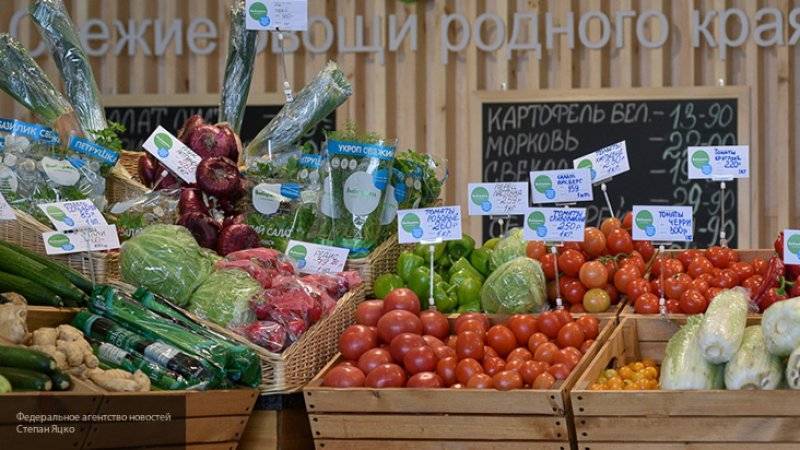 Мария Федорова - Летние цены на овощи сохранятся до декабря благодаря росту урожая в РФ - nation-news.ru - Россия
