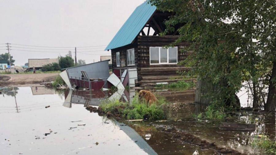 Уровень воды в реке Ия в иркутском Тулуне прекратил повышаться - iz.ru - Иркутская обл. - Тулун