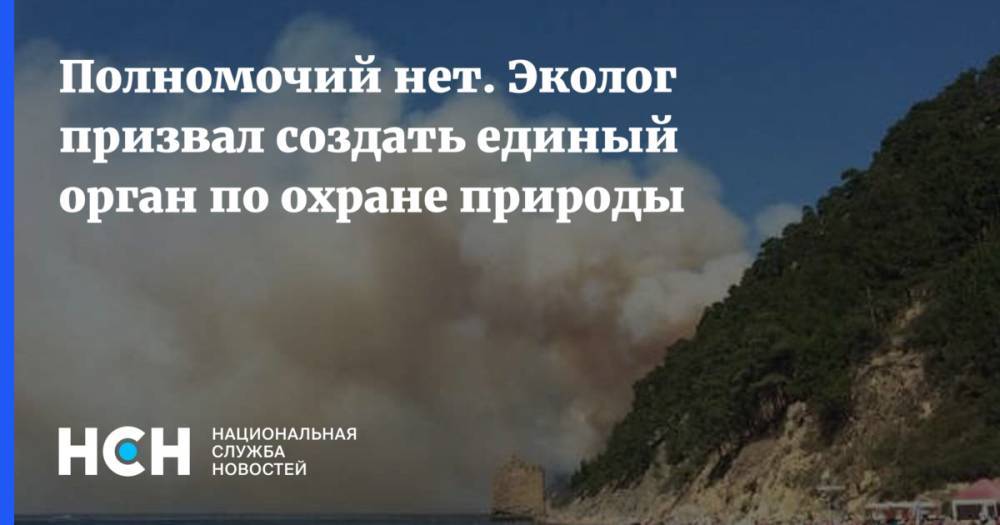 Василий Власов - Полномочий нет. Эколог призвал создать единый орган по охране природы - nsn.fm - Россия
