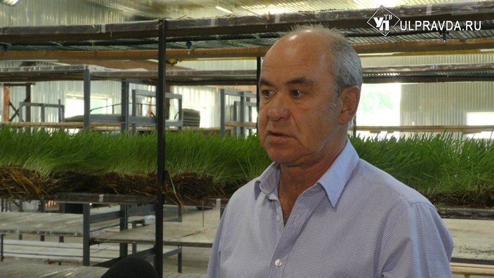 Александр Матросов - Мое дело. Ульяновец выращивает для буренок корм будущего - ulpravda.ru - Ульяновская