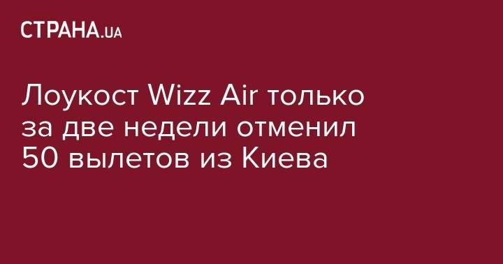 Лоукост Wizz Air только за две недели отменил 50 вылетов из Киева - strana.ua - Украина - Киев - Берлин - Рига - Копенгаген - Будапешт - Варшава - Вена - Братислава