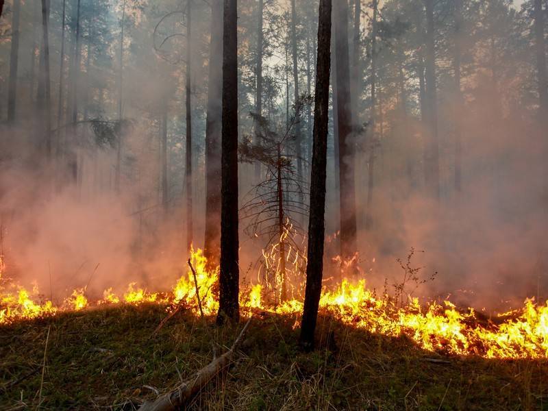 Более 100 пожаров зафиксированы в Иркутской области - news.ru