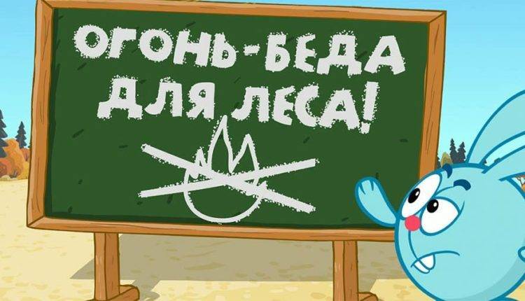 Вышла новая серия «Смешариков» о борьбе с лесными пожарами - newtvnews.ru - Россия - Красноярский край - Иркутская обл. - Кемеровская обл. - респ. Саха - респ.Бурятия - респ. Хакасия