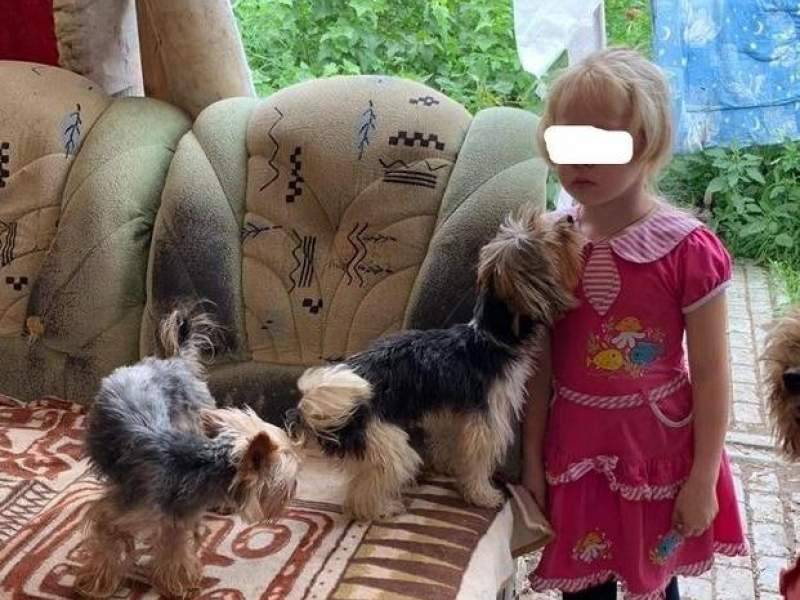 Анастасия Захарова - Шестилетнюю девочку в Саратове забрали из дома-питомника с 25 собаками - dayonline.ru - Саратов