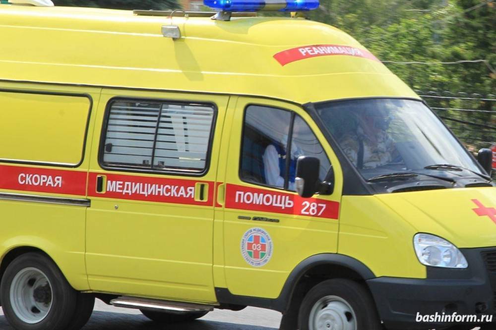 В Стерлитамаке бойцовская собака напала на 3-летнюю девочку // ПРОИСШЕСТВИЯ | новости башинформ.рф - bashinform.ru - Россия - Уфа - Стерлитамак