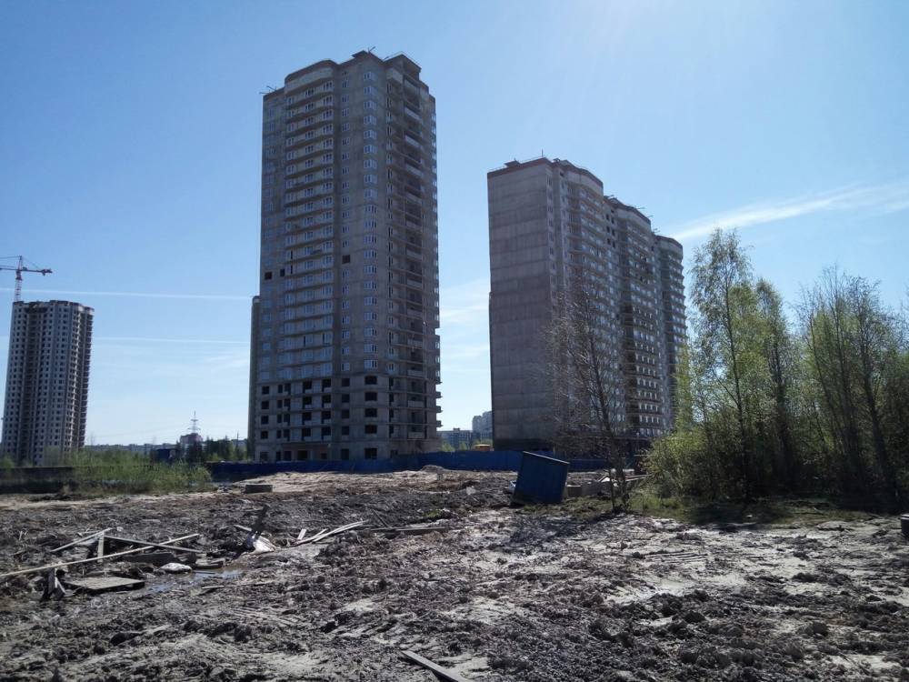 Виктор Смирнов - В Петербурге задержали главу строительной компании. Ее дольщики проводили голодовку - theins.ru - Россия - Ленинградская обл. - Санкт-Петербург