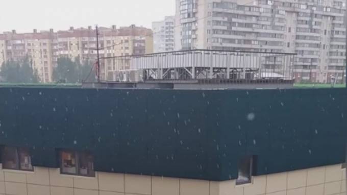 В Московском районе заметили июльский снег - piter.tv - Санкт-Петербург - р-н. Московский