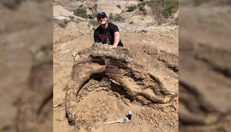 Студент-биолог на первых же раскопках нашел череп динозавра - moya-planeta.ru - штат Северная Дакота