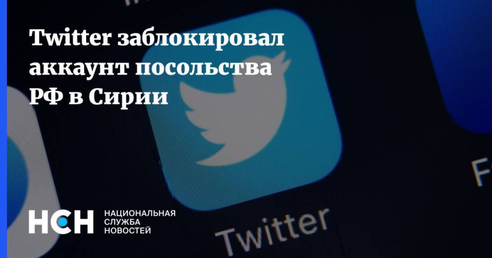 Василий Небензя - Twitter заблокировал аккаунт посольства РФ в Сирии - nsn.fm - Россия - Сирия - Юар - провинция Идлиб