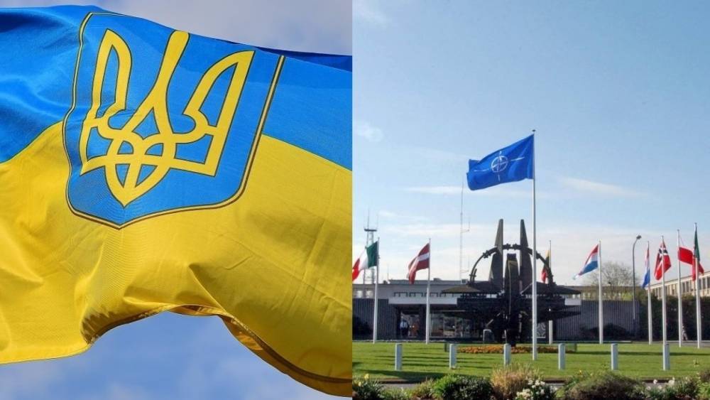 Павел Климкин - Александр Асафов - Илья Кива - Курс Украины в ЕС и НАТО в киевской оппозиции назвали бутафорией - riafan.ru - Украина - Киев