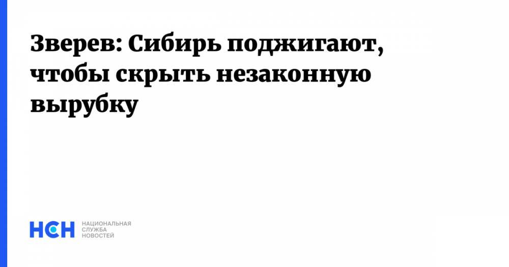 Александр Усс - Сергей Зверев - Зверев: Сибирь поджигают, чтобы скрыть незаконную вырубку - nsn.fm - Россия - Красноярский край - Иркутская обл. - Казахстан - Кемеровская обл. - респ. Алтай - респ.Бурятия - Новосибирская обл. - респ. Хакасия - Томская обл.