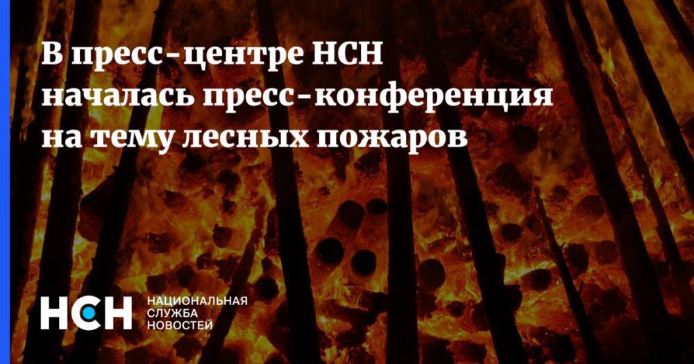 Александр Усс - Георгий Викулов - Сергей Зверев - В пресс-центре НСН началась пресс-конференция на тему лесных пожаров - nsn.fm - Россия - Красноярский край - Иркутская обл. - Казахстан - Кемеровская обл. - респ. Алтай - респ.Бурятия - Новосибирская обл. - респ. Хакасия - Томская обл.