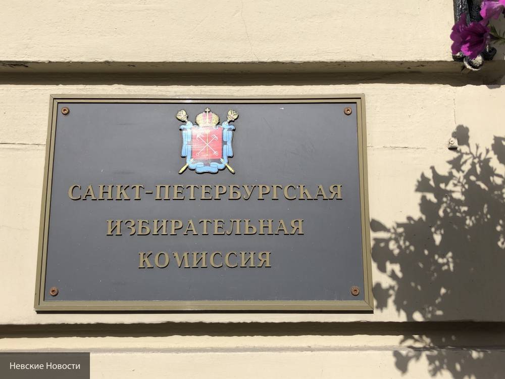 Эксперты заявили, что незаконная акция у петербургского избиркома является провокацией - newinform.com - Санкт-Петербург - Петербург