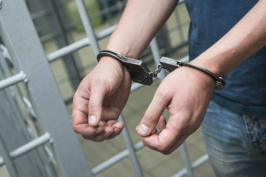Полиция задержала убившего мать жителя Петербурга - versia.ru - Ленинградская обл. - Санкт-Петербург