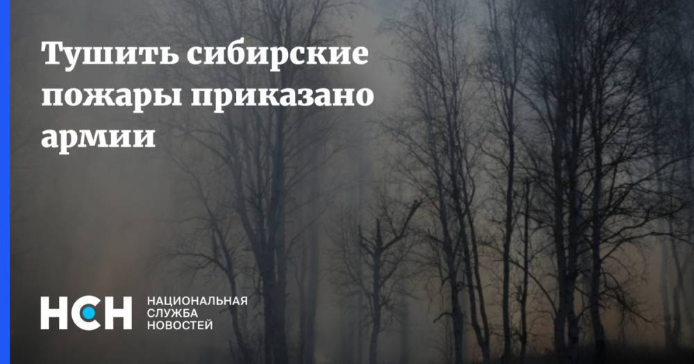 Владимир Путин - Георгий Викулов - Без армии сибирские пожары не потушить - nsn.fm - Россия - Красноярский край - Иркутская обл. - Казахстан - респ.Бурятия - Монголия