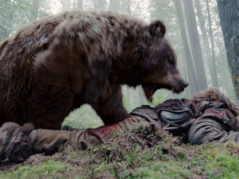 Туристу удалось выжить в схватке с медведем гризли - news.ru - Англия - Колумбия - Канада
