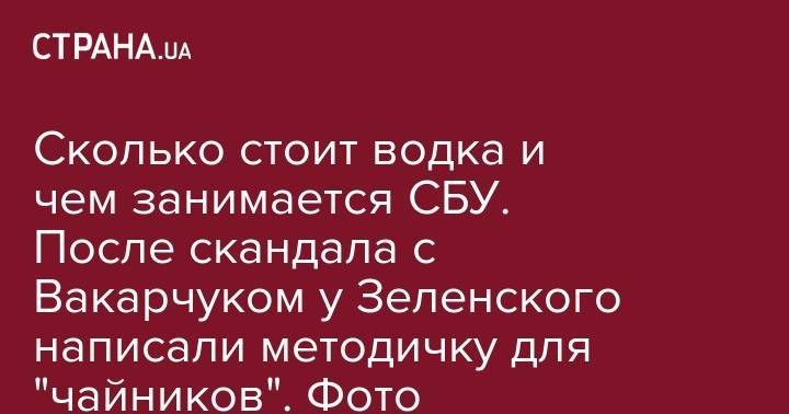 Святослав Вакарчук - Юлия Тимошенко - Сколько стоит водка и чем занимается СБУ. После скандала с Вакарчуком у Зеленского написали методичку для "чайников". Фото - strana.ua - Украина
