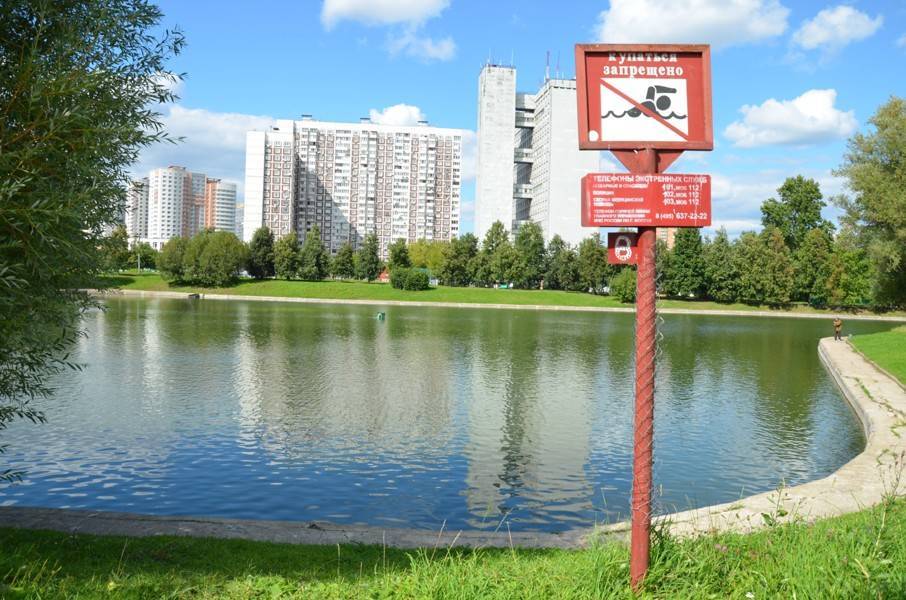 Новая аллея появится в парке "Дружбы" до конца года - m24.ru - Москва - Благоустройство