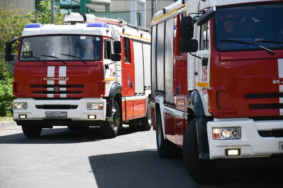 Семь человек спасли при пожаре на севере Москвы - m24.ru - Курганская обл.