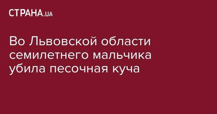 Во Львовской области семилетнего мальчика убила песочная куча - strana.ua - Украина - Львов - Львовская обл. - район Золочевский