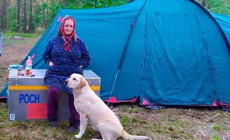 В Жлобинском районе спасли пропавшую в лесу пенсионерку. Чтобы ее найти спасателям пришлось ночевать в лесу - gomel.today - район Жлобинский