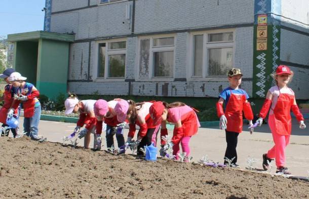 Усинские дошкольники подарили городу пять тысяч бархатцев - bnkomi.ru - респ. Коми - Усинск