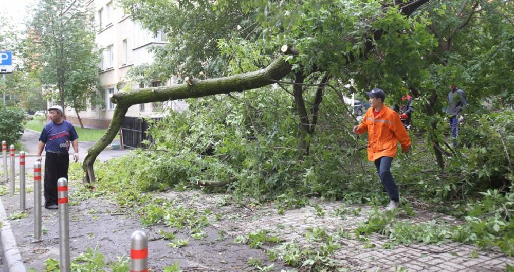 В Москве объявлен повышенный уровень погодной опасности - m24.ru - Москва