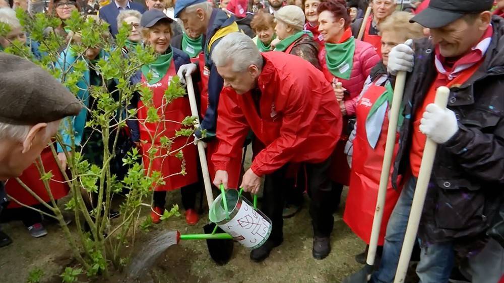 Сергей Собянин - Собянин отметил значительное улучшение экологии в столице - tvc.ru - Москва