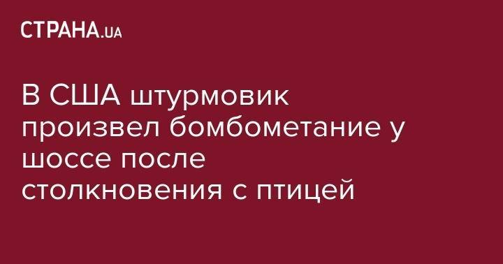В США штурмовик произвел бомбометание у шоссе после столкновения с птицей - strana.ua - США - Тель-Авив - шт.Флорида - Одесса