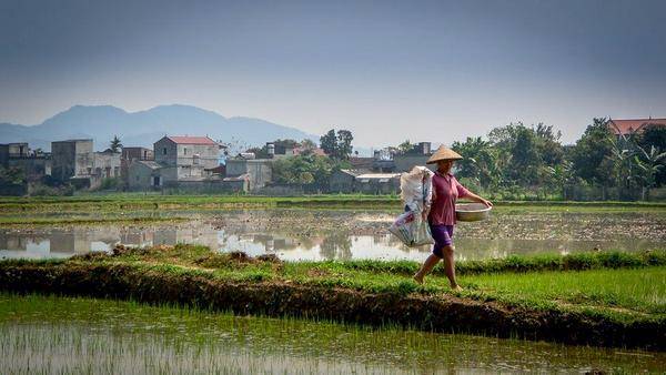 Как прокормить население Земли? Супербактерии могут помочь - argumentua.com - Вьетнам - Ханой