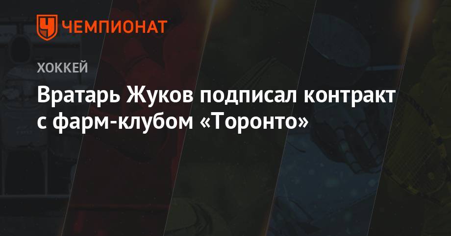 Вратарь Жуков подписал контракт с фарм-клубом «Торонто» - championat.com - Россия - США - Калининград - Ярославль - Череповец