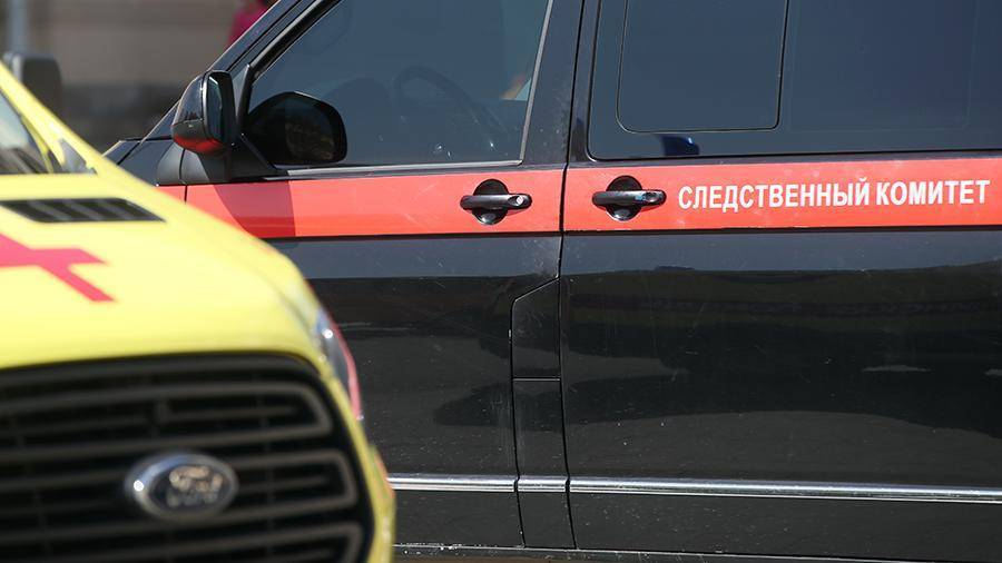 Юлия Иванова - Уголовное дело возбудили по факту гибели ребенка на детской площадке в Москве - iz.ru - Москва - Россия