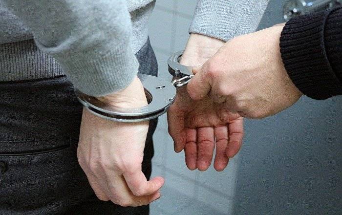 Ирина Волк - Россия выдала Франции гражданина Грузии Севдина Брояна, считающегося крупным мафиози - ru.armeniasputnik.am - Россия - Грузия - Франция