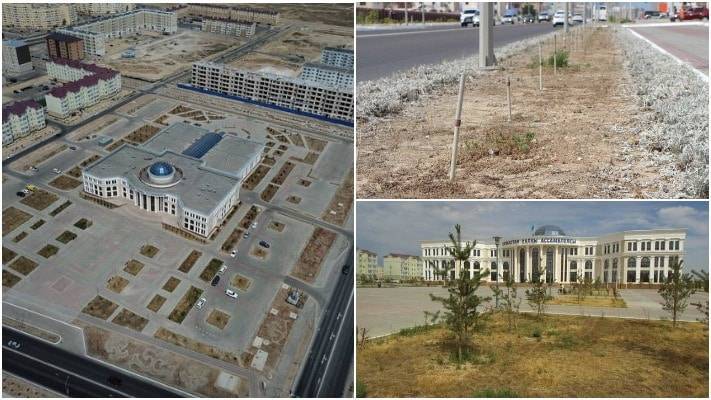 Год после саммита: что стало с растениями в Актау - nur.kz - Актау