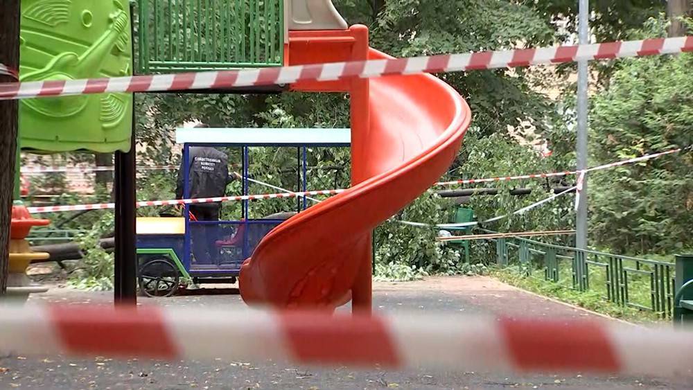 Сергей Собянин - Собянин выразил соболезнования семье погибшего в Москве ребенка - tvc.ru - Москва