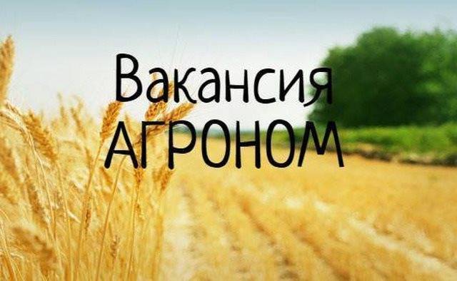 В Ульяновске требуется агроном для работы в Эдеме - ulpravda.ru - Ульяновск