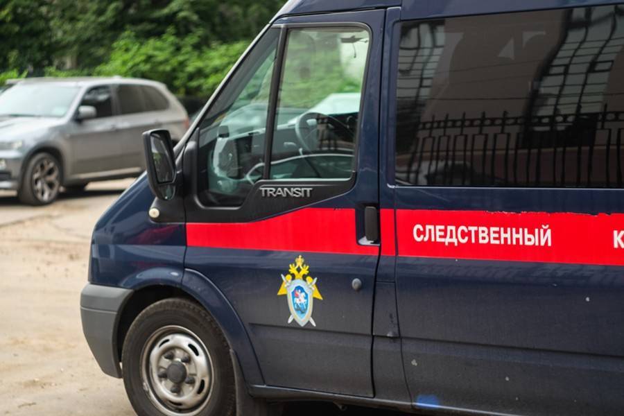 СК выступил за введение института воздушных маршалов - m24.ru - Москва - Россия - ЦФО