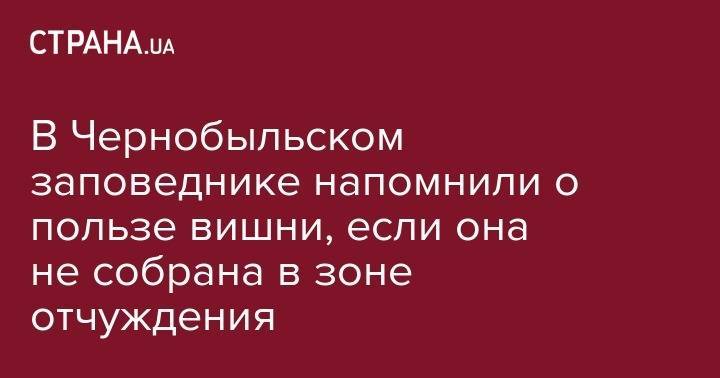 В Чернобыльском заповеднике напомнили о пользе вишни, если она не собрана в зоне отчуждения - strana.ua - Украина - Киев - Ровенская обл.