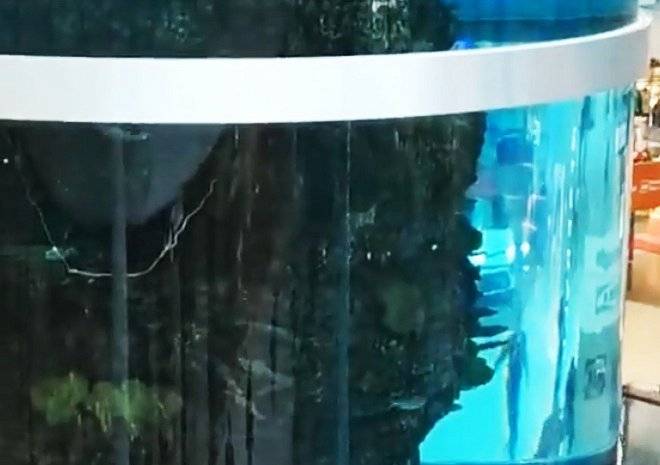 В московском ТЦ треснул гигантский аквариум - ya62.ru - Москва