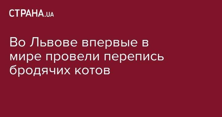 Во Львове впервые в мире провели перепись бродячих котов - strana.ua - Китай - Киев - Львов - Румыния - Болгария