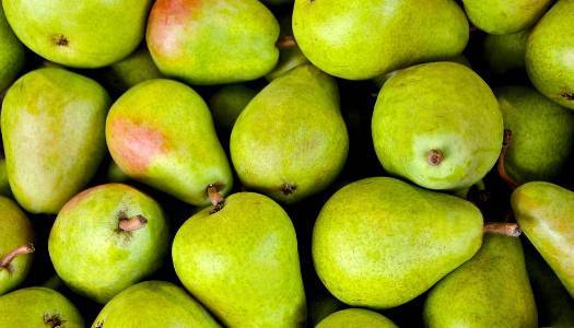 Україна опинилася в лідерах постачальників агропродукції до ЄС - newformat.info - Україна - Євросоюз