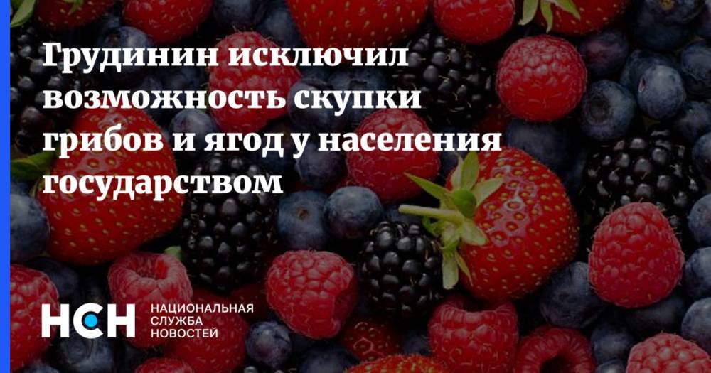 Владимир Путин - Павел Грудинин - Грудинин исключил возможность скупки грибов и ягод у населения государством - nsn.fm - Московская обл.