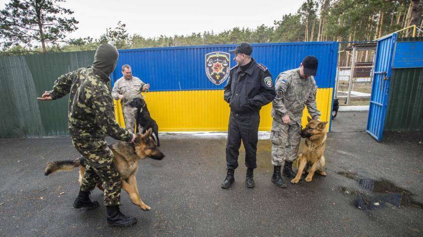 Арсений Яценюк - На Украине потеряли флешку с секретными документами по "Стене Яценюка" - utro.ru - Россия - Украина - Киев - Сумская обл. - Харьковская обл. - Черниговская обл.