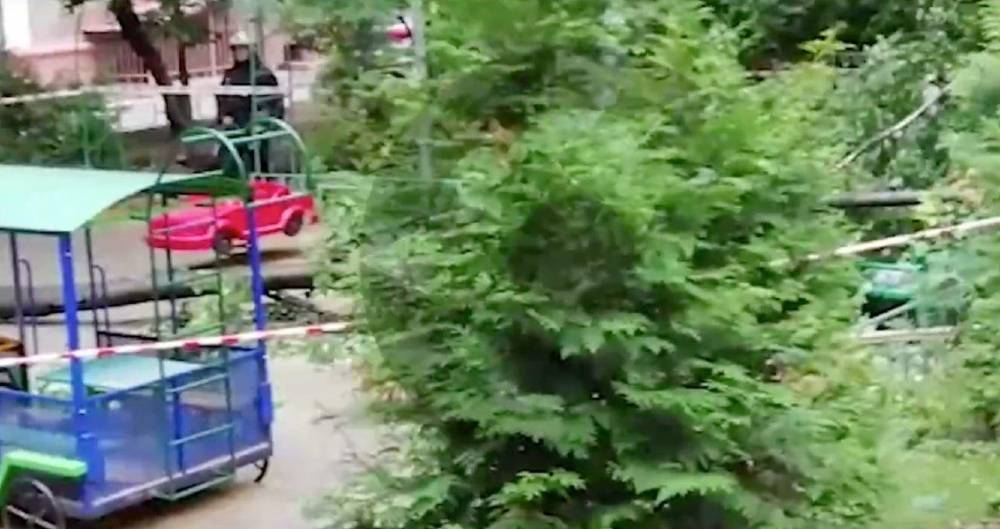 Сергей Собянин - Юлия Иванова - СК завел дело после гибели ребенка из-за упавшего дерева в Москве - m24.ru - Москва - Россия