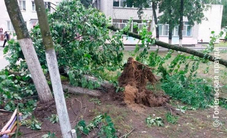 Ущерб от разгула стихии в Гомельской области превысил Br500 тысяч - gomel.today - Гомельская обл.