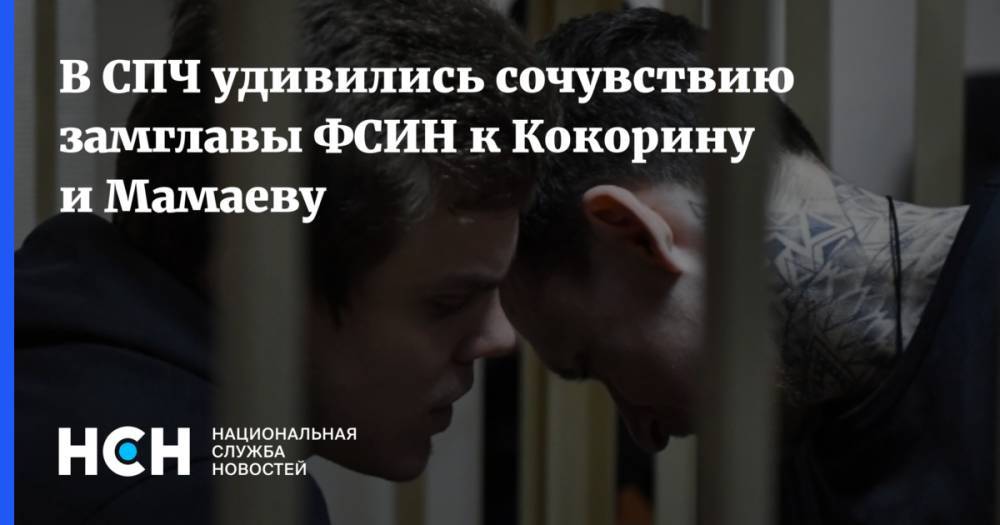 Павел Мамаев - Александр Кокорин - Валерий Максименко - Игорь Каляпин - В СПЧ удивились сочувствию замглавы ФСИН к Кокорину и Мамаеву - nsn.fm - Москва - Россия