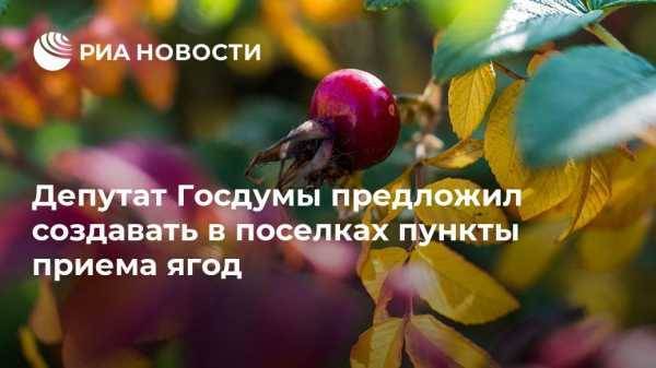 Василий Власов - Дмитрий Кобылкин - Депутат Госдумы предложил создавать в поселках пункты приема ягод - vestirossii.com - Москва - Россия