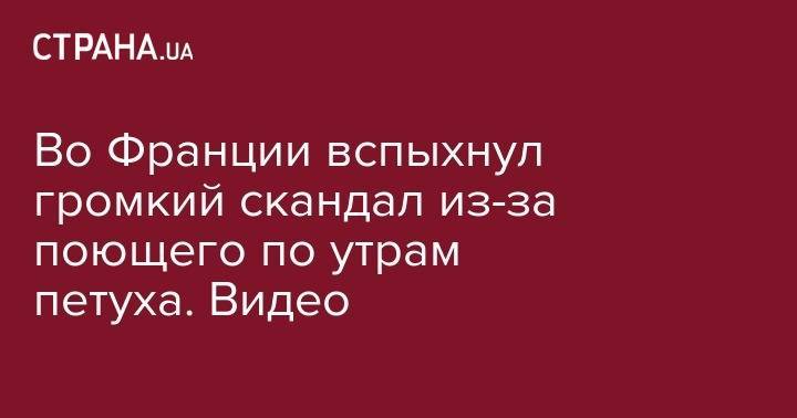 Во Франции вспыхнул громкий скандал из-за поющего по утрам петуха. Видео - strana.ua - Китай - New York - Франция